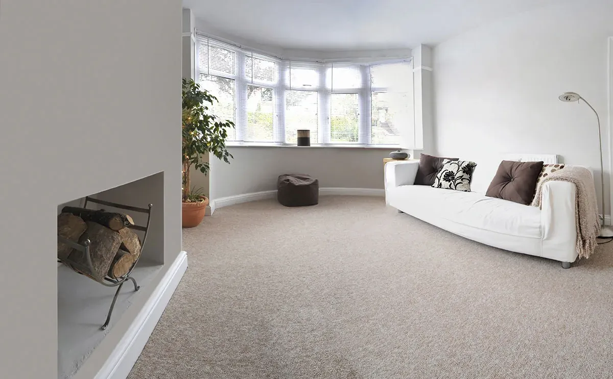 steam carpet cleaning