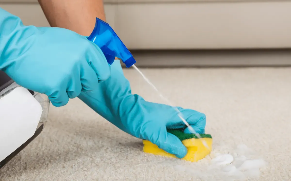 Deep carpet cleaning with spray solution and sponge scrub for tough stains.